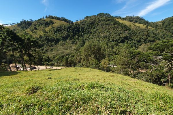 Melhor área em Gonçalves