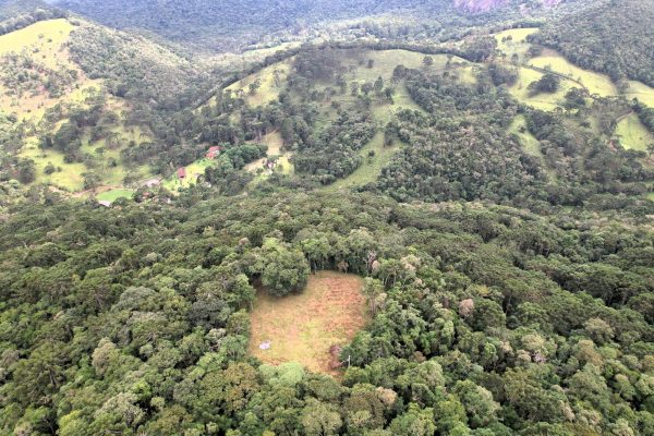 Sinta o abraço da natureza