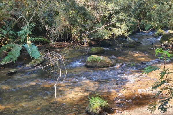 Área, próxima a Cervejaria