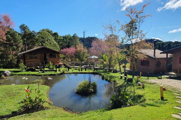 Pra quem busca renda imediata