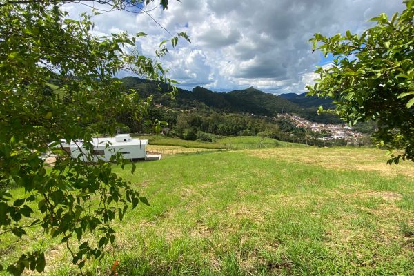 Um dos melhores lotes do Tertúlia